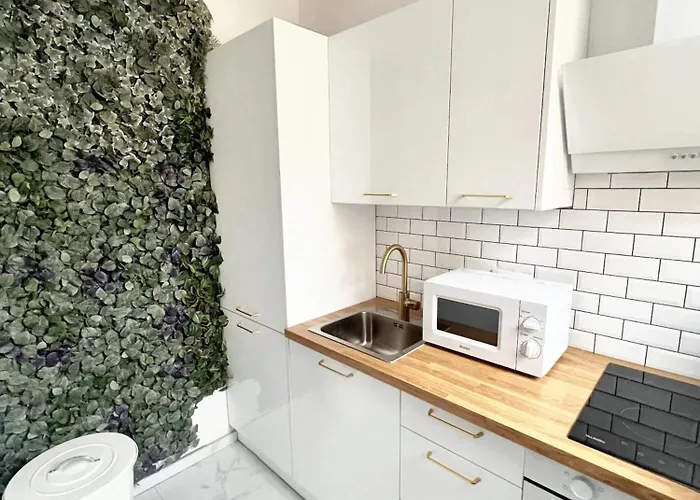 Comfortable In 35m² Terrace With Bbq