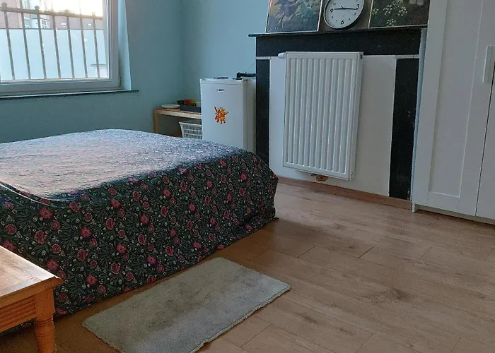 Homestay szállás Confortable Avec Un Lit Double A Schaerbeek Cle Bleu *