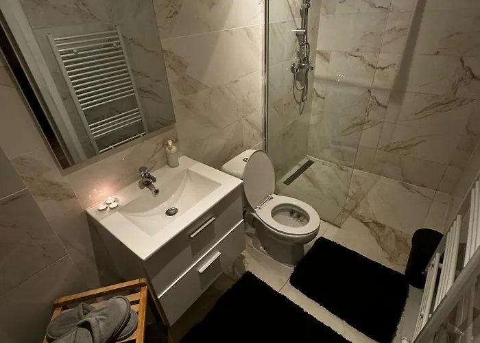 Apartment Rue Blaes Brussels