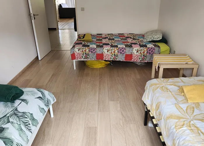 Charming In The Center Of