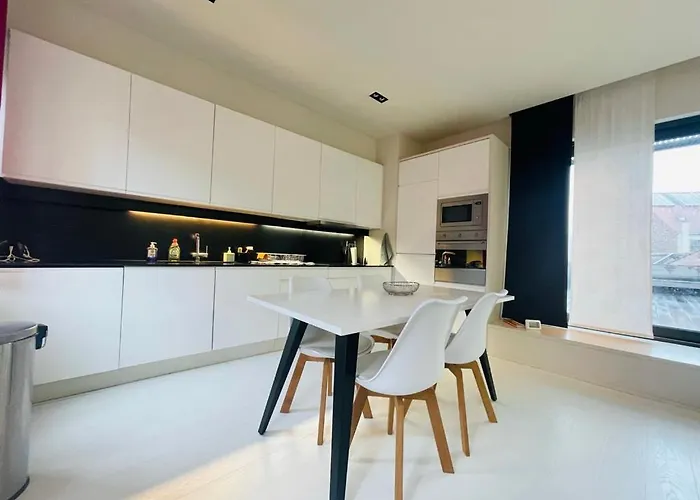 Down Town Penthouse With Private Parking Brüssel