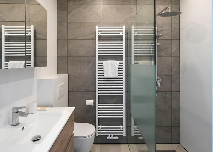 Toison D'or 布鲁塞尔