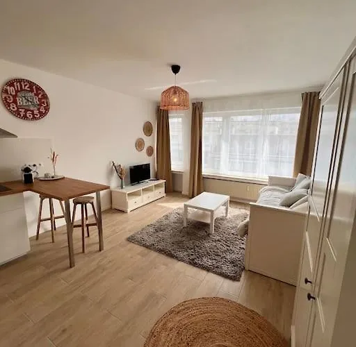 Flat Moderne Et Lumineux * Brüssel