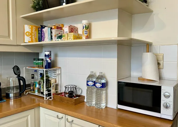 Lejlighed Cozy, Comfortable Apt, Well Located - Eu Ulb Vub