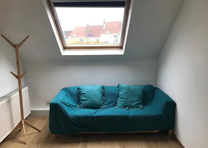 Appartement Lumineux - *