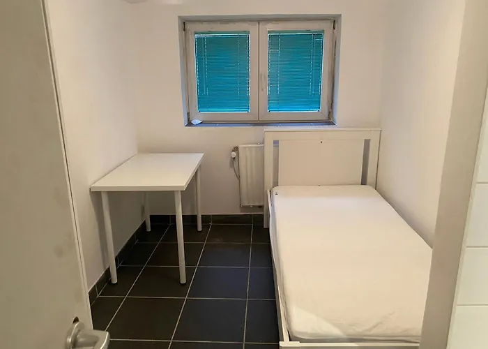 Fly Forest Rez Jardin