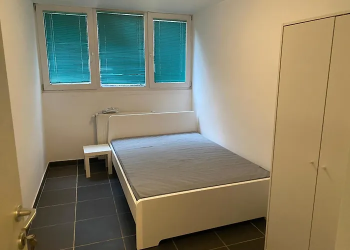 Fly Forest Rez Jardin Bruxelles