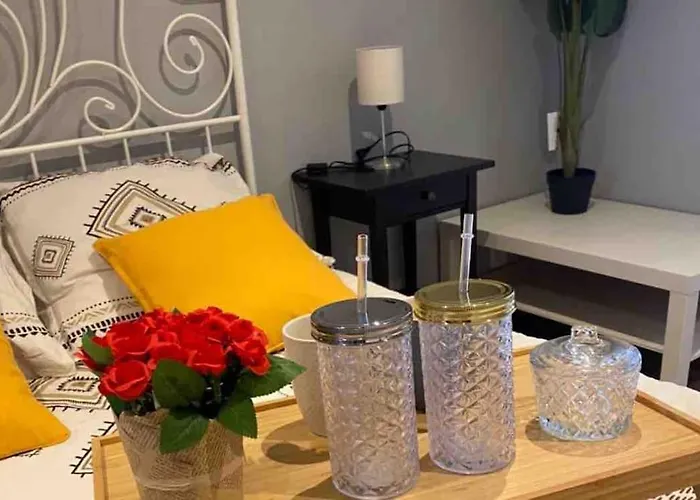 Apartman Superbe Full Equipe Avec Cour Exterieur *