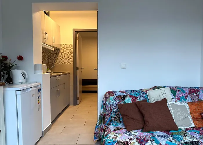 Апартаменты Situe A Woluwe-saint-lambert Брюссель