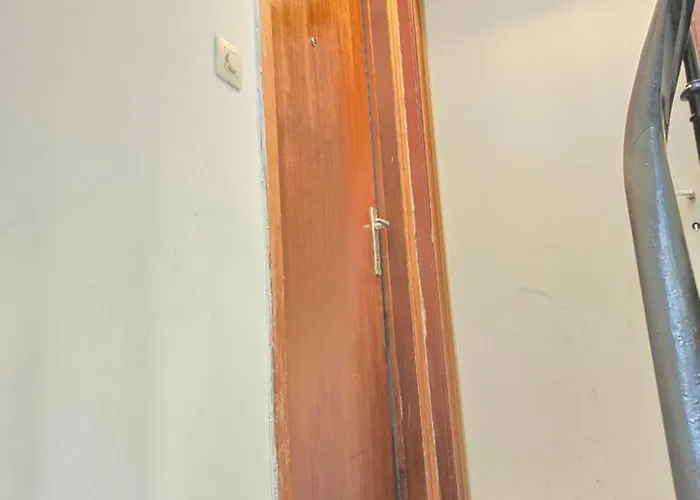 Charming Jambo * 布鲁塞尔