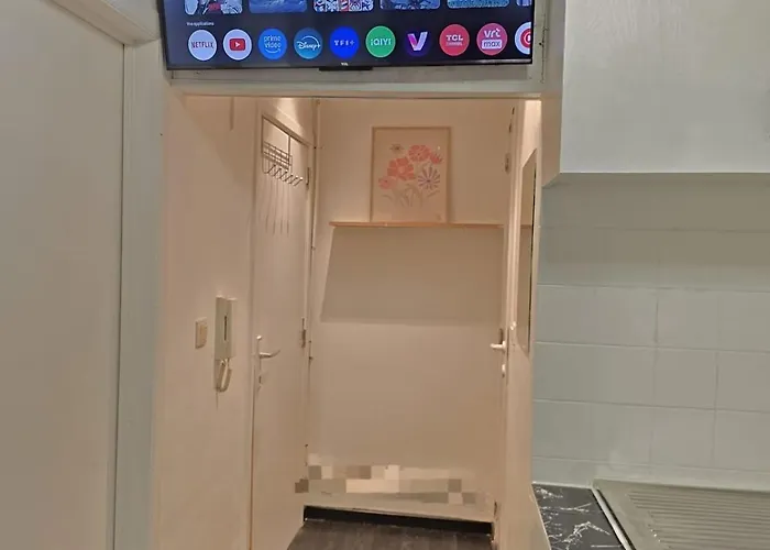 Charming Jambo 布鲁塞尔