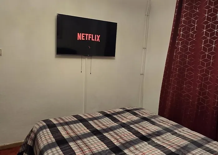 Charming Jambo 布鲁塞尔