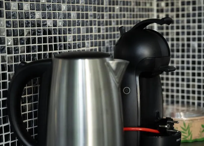 Cozy And Luxurious In Brussels, Laeken *