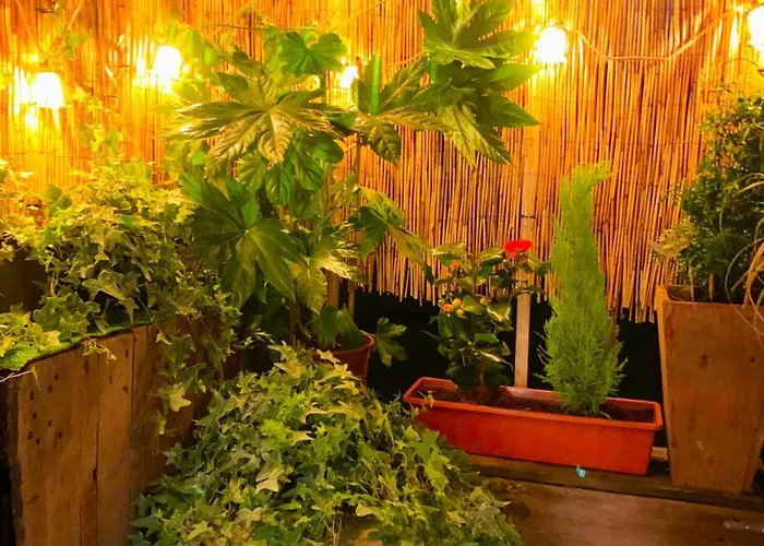 公寓 Madame Ii 布鲁塞尔