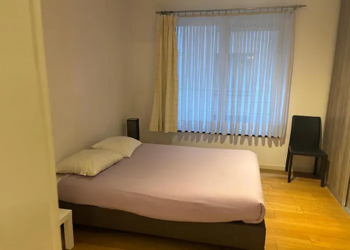 3chambres En Plein Centre-ville Brussels