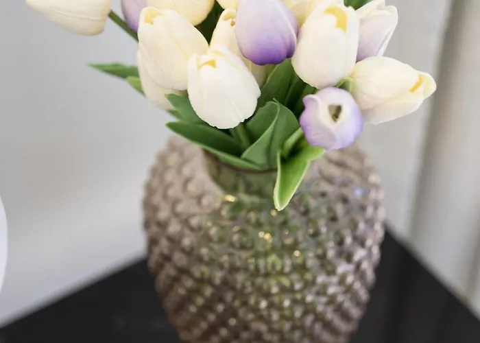 公寓 In The Hyper-center *