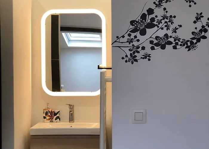 Absolute Charm 3 Bedroom 3 Bathroom With Ac Eu District Appartement Brussel