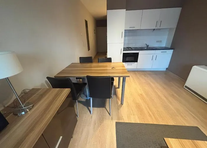 Botanical Garden Rogier * Брюссель