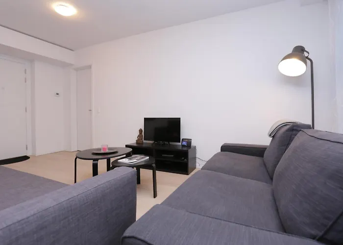 Center Flat شقة *