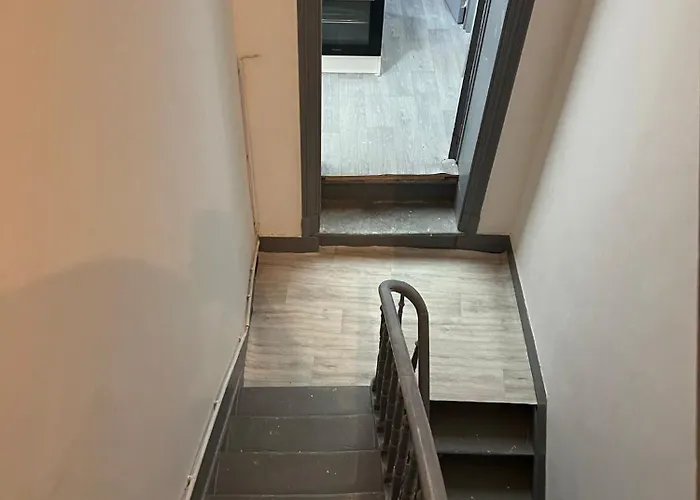 Cozy Havens In The Heart Of Guest house