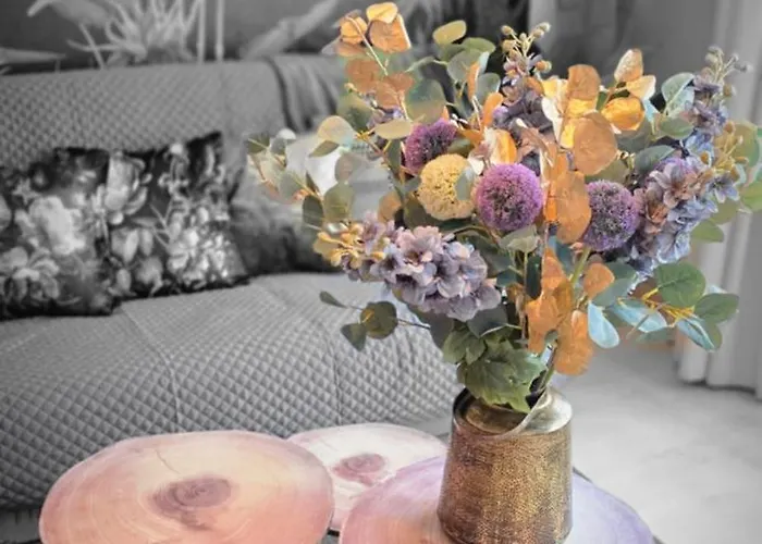 Cosy Jacqmain Daire Brüksel