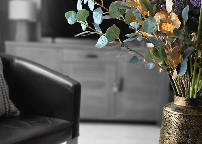 Cosy Jacqmain Daire Brüksel