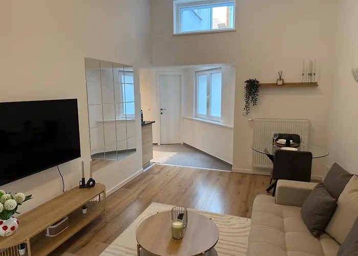 Cozy South-up And Ground Apartment Brussels