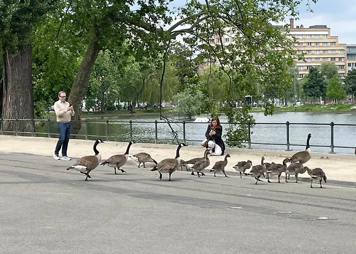 Le Flagey Place Appartement *