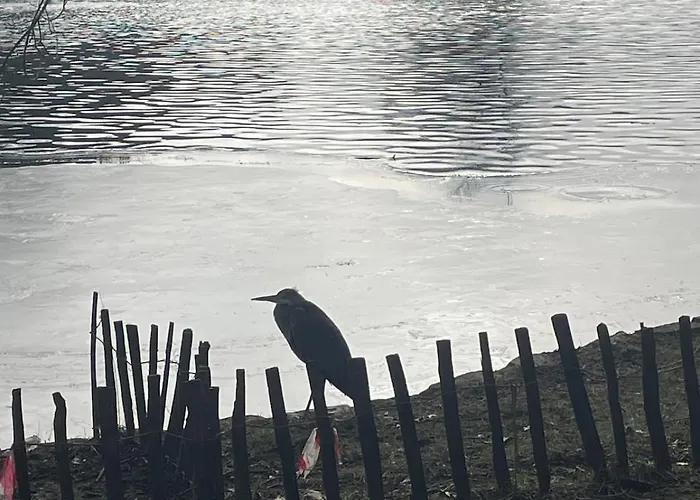 Appartement Le Flagey Place *