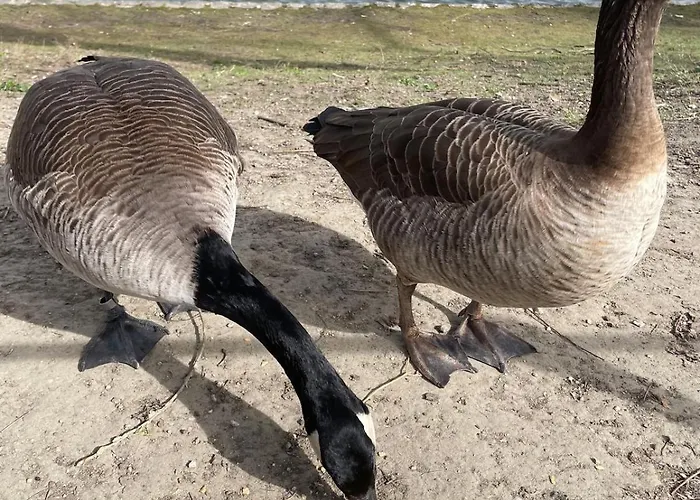 Le Flagey Place Appartement *