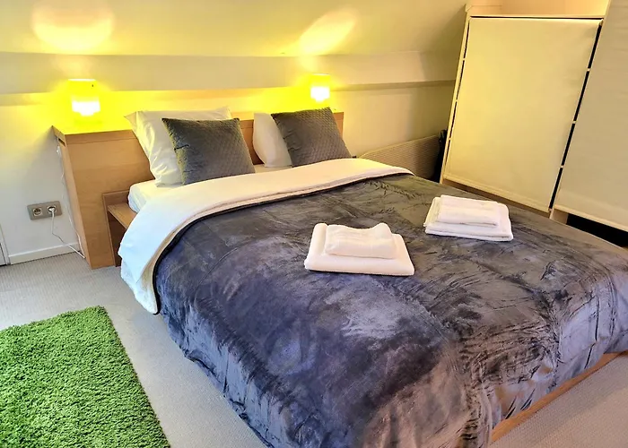 Appartement Cosy Flat, Location *