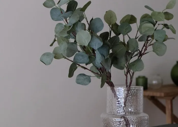 Appartamento Center Spacious And *