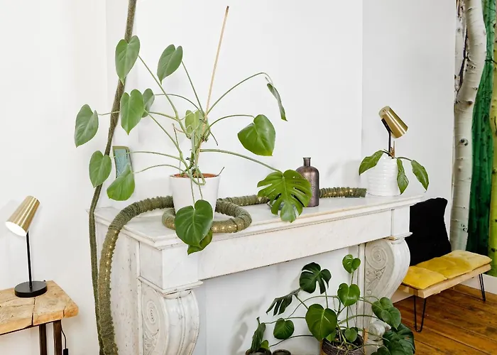 Druum Bed & Breakfast Brussels