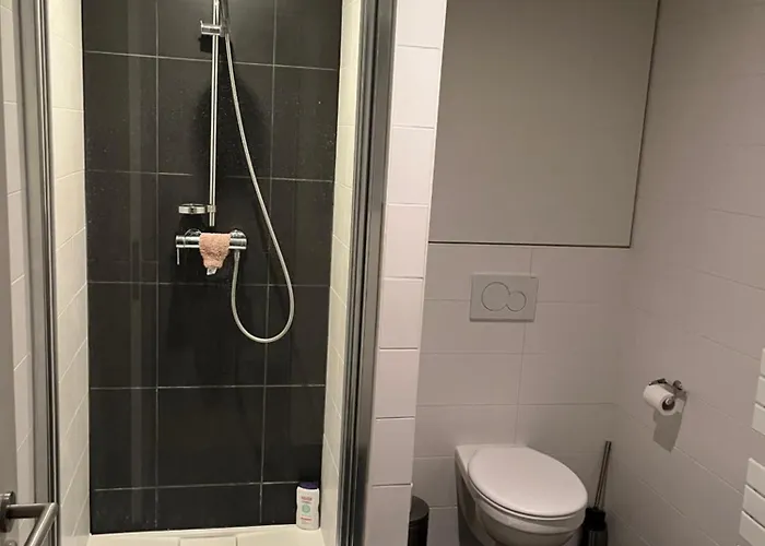 European Flat בריסל