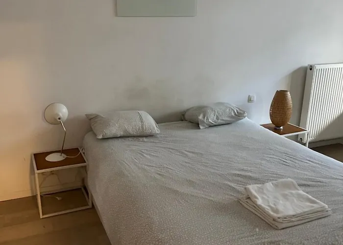 European Flat דירה *