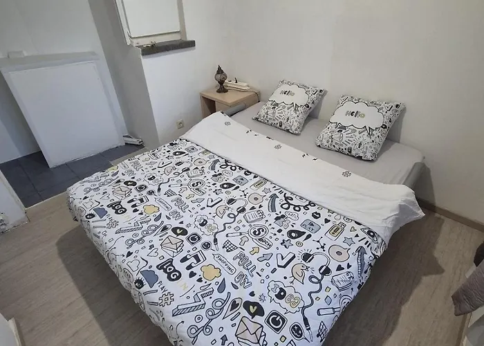 Large 1st Floor Apartment, Schaerbeek, Apartamento *