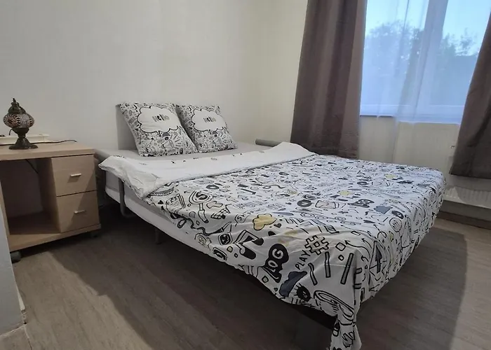 Large 1st Floor Apartment, Schaerbeek, *