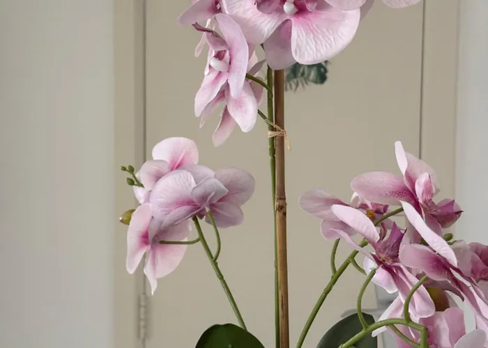 Atomium Canopy Brüssel