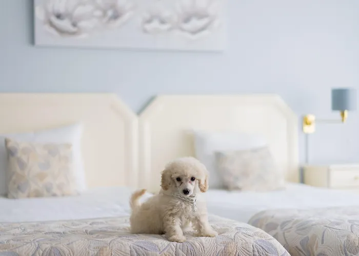 Hotel First Euroflat 4*