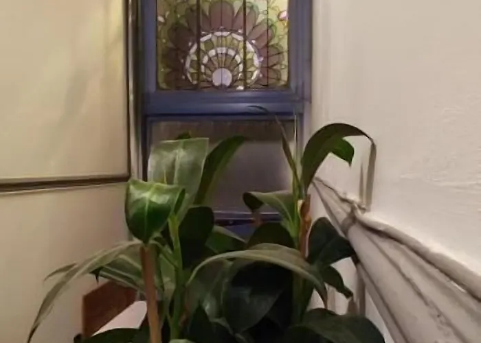 European District Guest house