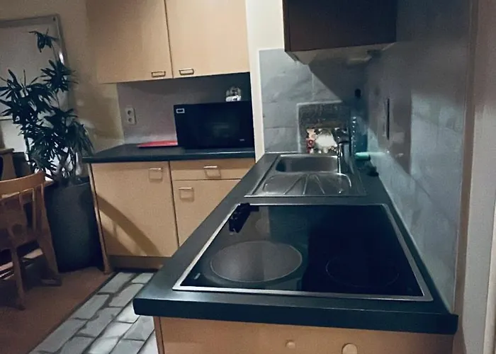 Modern With Terrace Woluwe-saint-lambert Apartamento Bruselas