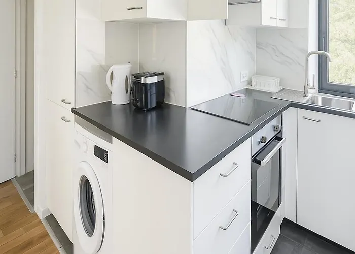 Cozy Brabanconne 公寓 布鲁塞尔