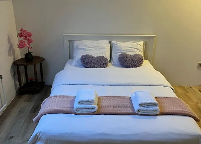 Bosquet Auberge de jeunesse