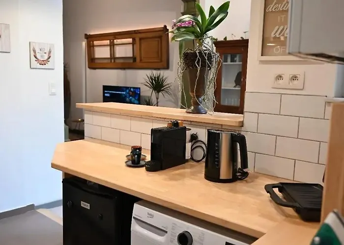 Daire Cozy In Of 75 M² Brüksel