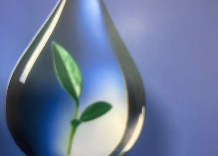 아파트 Confortable Situe A Woluwe Saint Lambert *