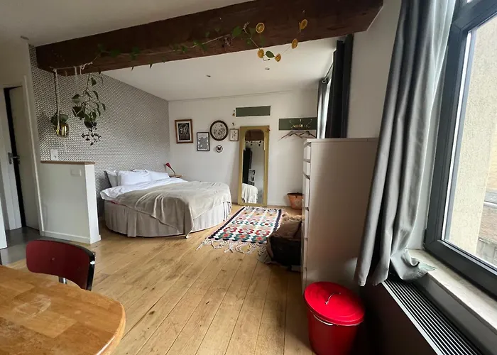 Cozy Studio-city Center Lägenhet