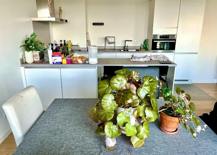 Apartament Elegant Near Atomium Ideal For Families Bruksela