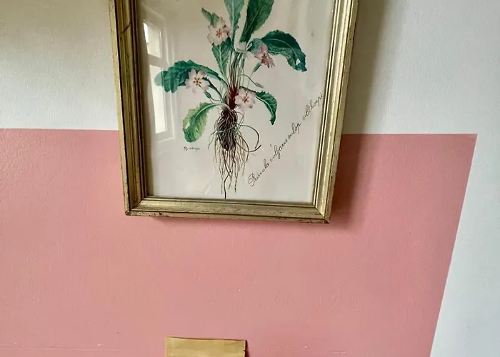 Appartamento Cozy Studio-city Center *