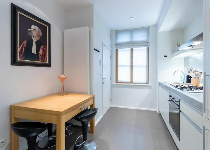 Luxury Deluxe Garden In Centre * Brussels