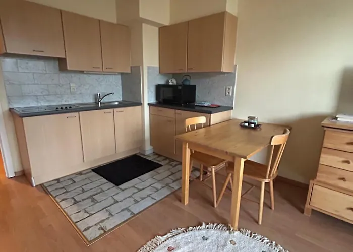 Modern With Terrace Woluwe-saint-lambert *